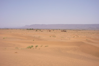 dunes Zagora